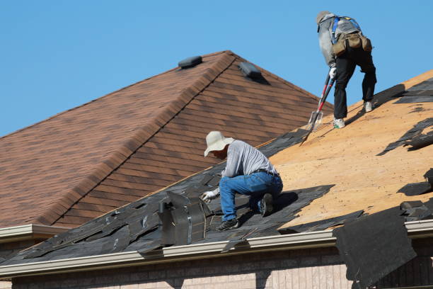 Best Roof Insulation Installation  in Scobey, MT