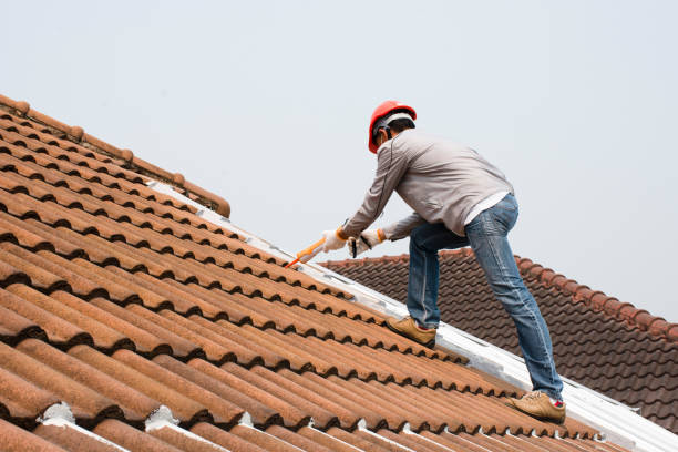 Best Asphalt Shingles Roofing  in Scobey, MT