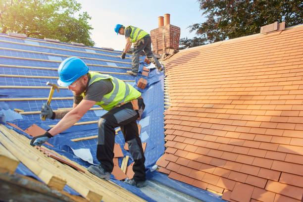 Best 4 Ply Roofing  in Scobey, MT